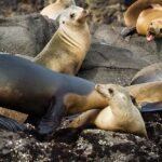 10 Unique Vacation Ideas That Teens Will Enjoy