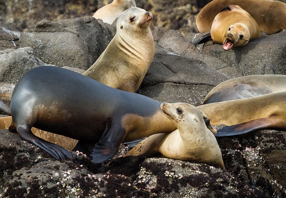 10 Unique Vacation Ideas That Teens Will Enjoy