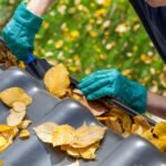 Spring Home Prep Chores