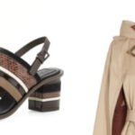 Embracing Fall Transition