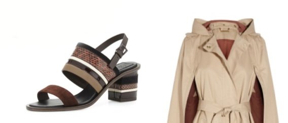 Embracing Fall Transition
