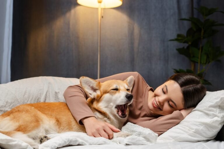 Helping Your Kids Achieve Sweet Dreams