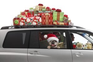 5 Tips for Safe Holiday Travel