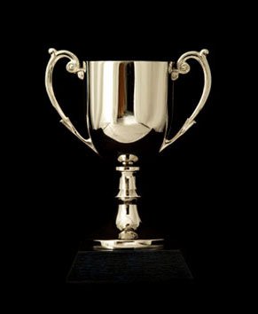 What is the VIP Award?